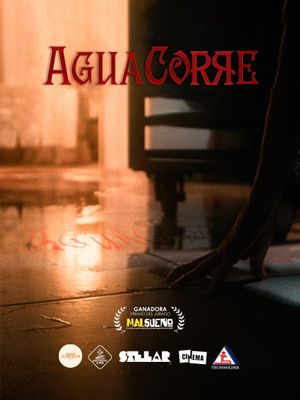 AGUA CORRE's poster image