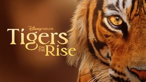 Tigers on the Rise's poster