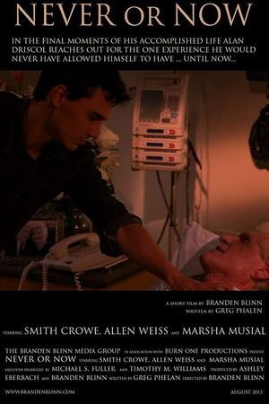 Never or Now's poster