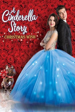A Cinderella Story: Christmas Wish's poster