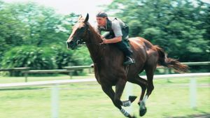 Phar Lap's poster