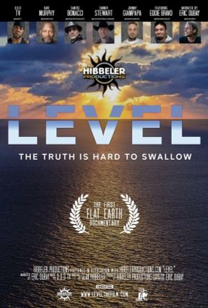 Level's poster