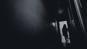 A Visitor in the Night's poster