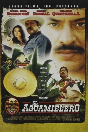 El aguamielero's poster