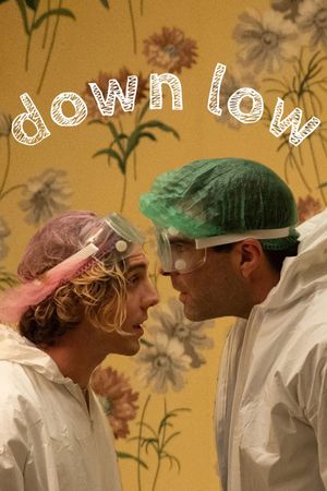 Down Low's poster
