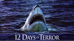 12 Days Of Terror's poster