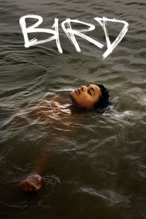 Bird's poster