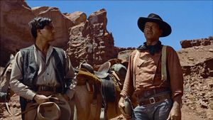 The Searchers's poster