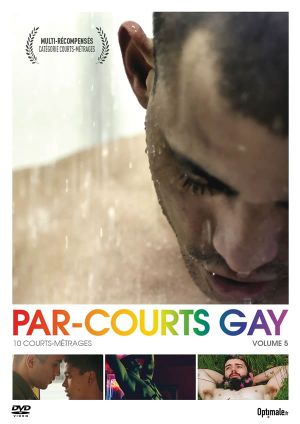 Par-courts Gay, Volume 5's poster