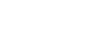 Snow, Tea and Love's poster
