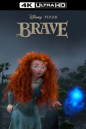 Brave's poster
