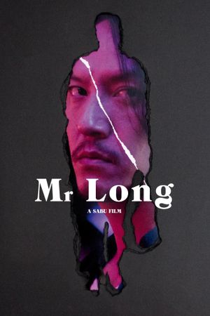 Mr. Long's poster