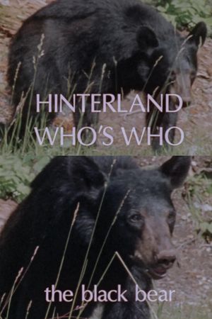 Hinterland Who's Who: Black Bear's poster