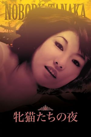 Night of the Felines's poster