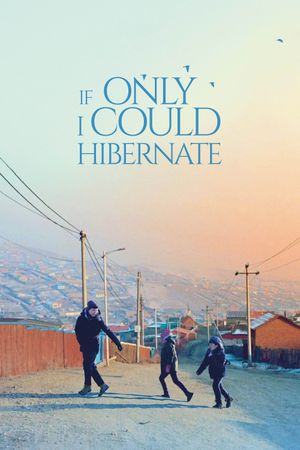 If Only I Could Hibernate's poster