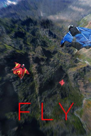 Fly's poster