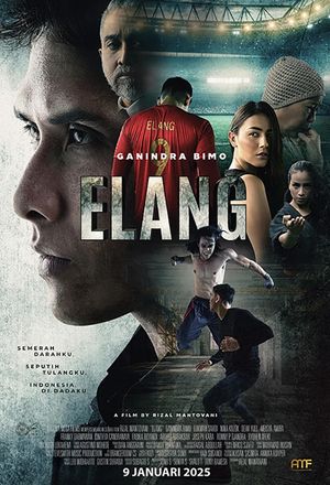 Elang's poster