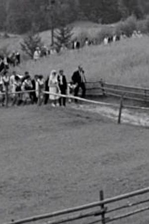 Sloping Fields's poster