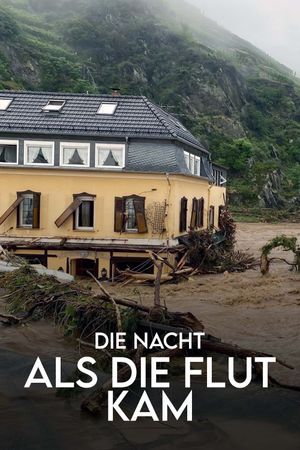 Die Nacht, als die Flut kam - Protokoll einer Klimakatastrophe's poster