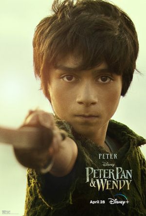 Peter Pan & Wendy's poster