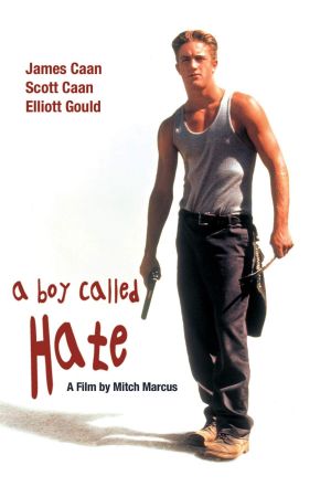 A Boy Called Hate's poster