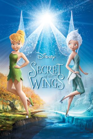 Secret of the Wings's poster