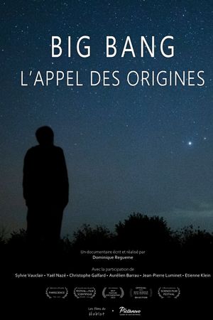 Big bang, l'appel des origines's poster image