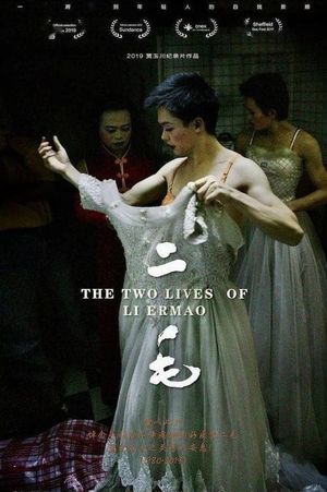 The Two Lives of Li Ermao's poster