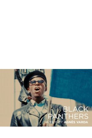 Black Panthers's poster
