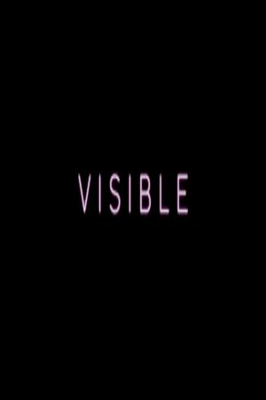 Visible's poster