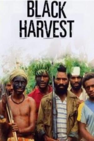 Black Harvest's poster