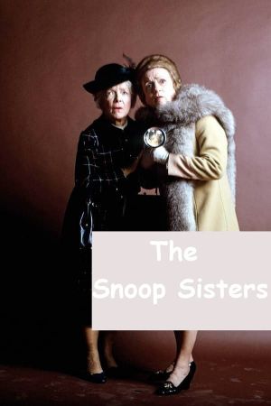 The Snoop Sisters's poster