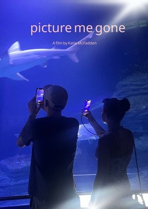 Picture Me Gone's poster