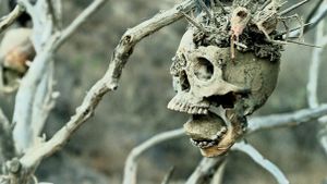Bone Tomahawk's poster