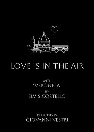 love is in the air's poster