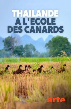 Thaïlande, à l'école des canards's poster