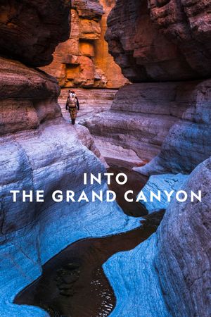 Into the Canyon's poster