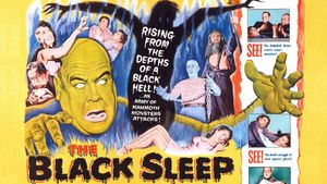The Black Sleep's poster