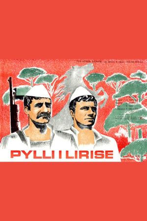 Pylli i lirisë's poster