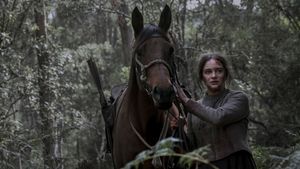 The Nightingale's poster