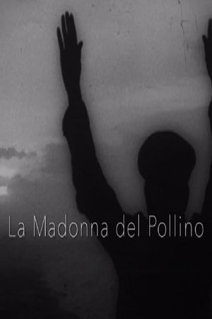 La Madonna del Pollino's poster image