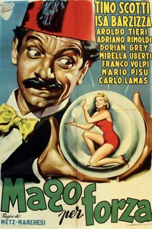Il mago per forza's poster