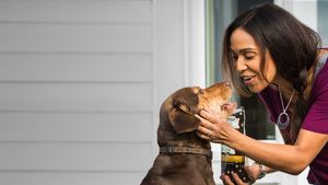 A Dog's Way Home's poster