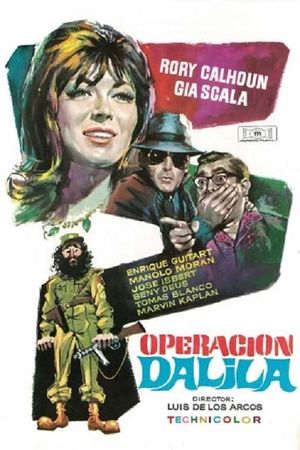 Operation Delilah's poster
