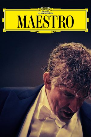 Maestro's poster