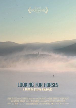 Looking for Horses's poster image