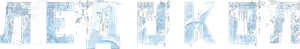 The Icebreaker's poster