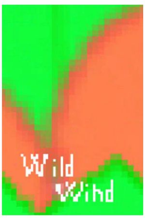 Wild Wind's poster