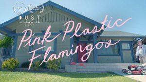 Pink Plastic Flamingos's poster