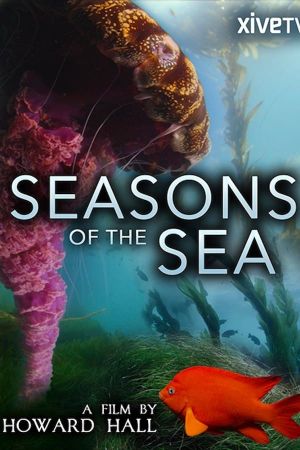 Seasons of the Sea: A Film by Howard Hall's poster image